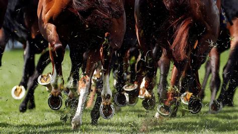 king edward vii stakes trends|King Edward VII Stakes Preview, Tips, Runners & Trends (Royal .